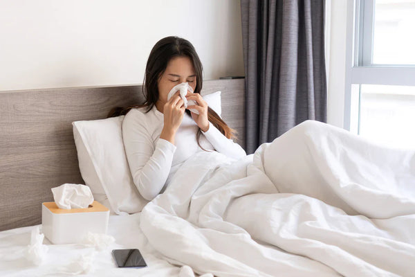How to Minimise Dust Mites and Allergens in the Bedroom
